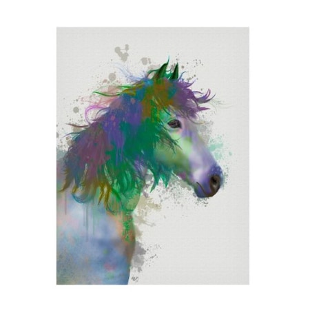 Fab Funky 'Horse Portrait 1 Rainbow Splash' Canvas Art,35x47